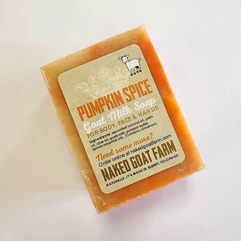 Fall Favorites